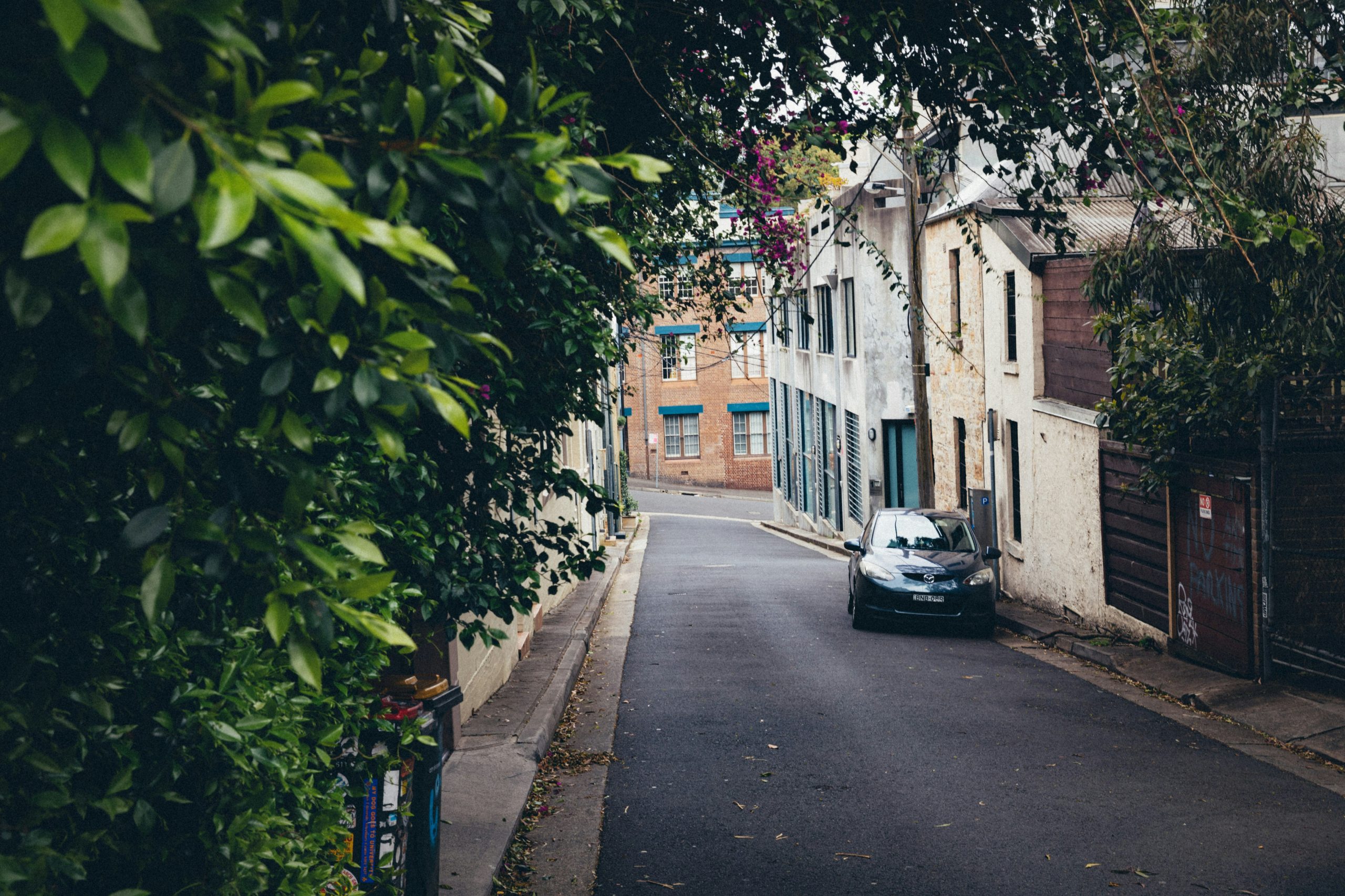 Surry Hills Property Market Update 2026