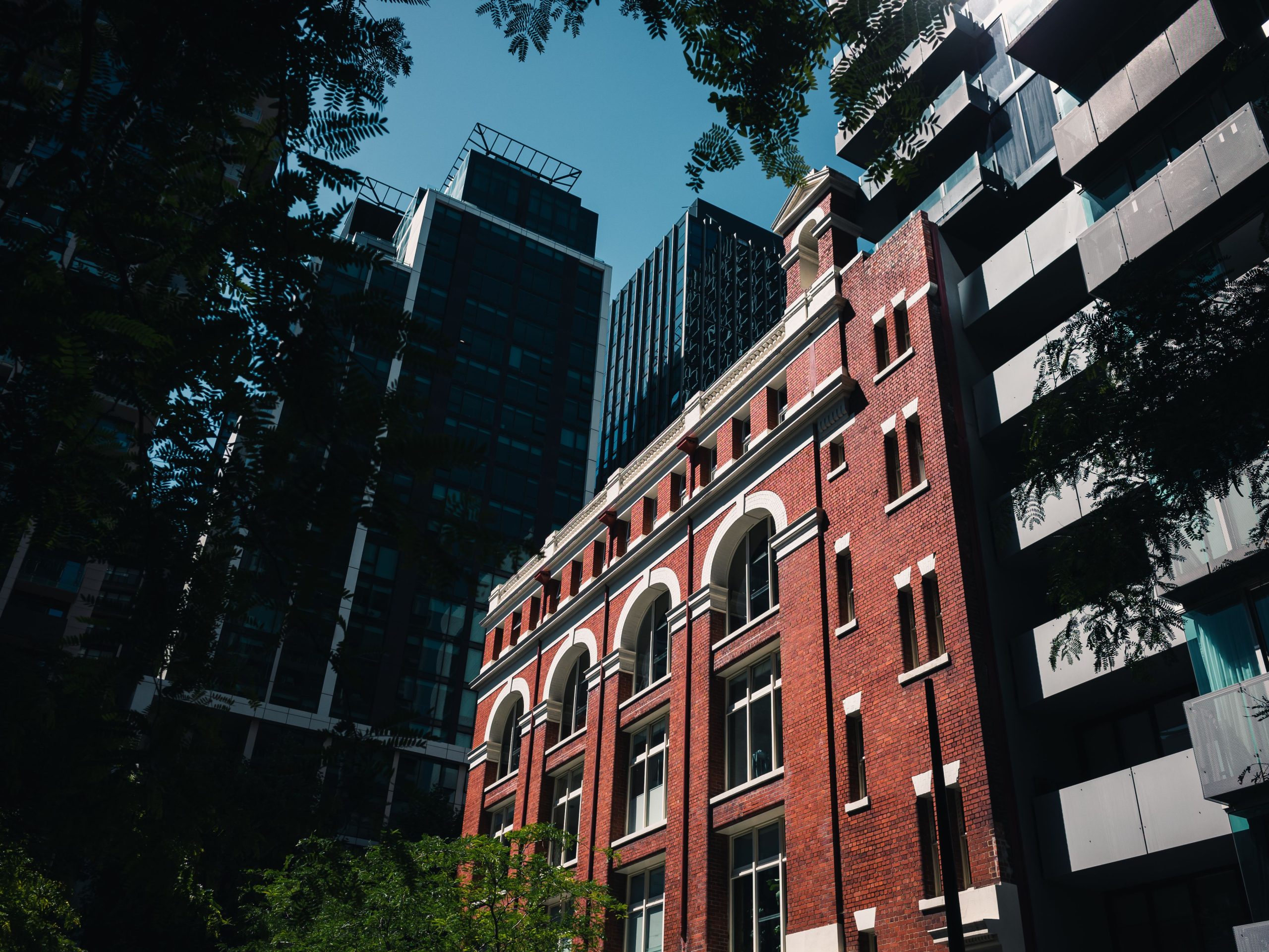 Darlinghurst & Surry Hills Fortnightly Market Update — 4 September 2026